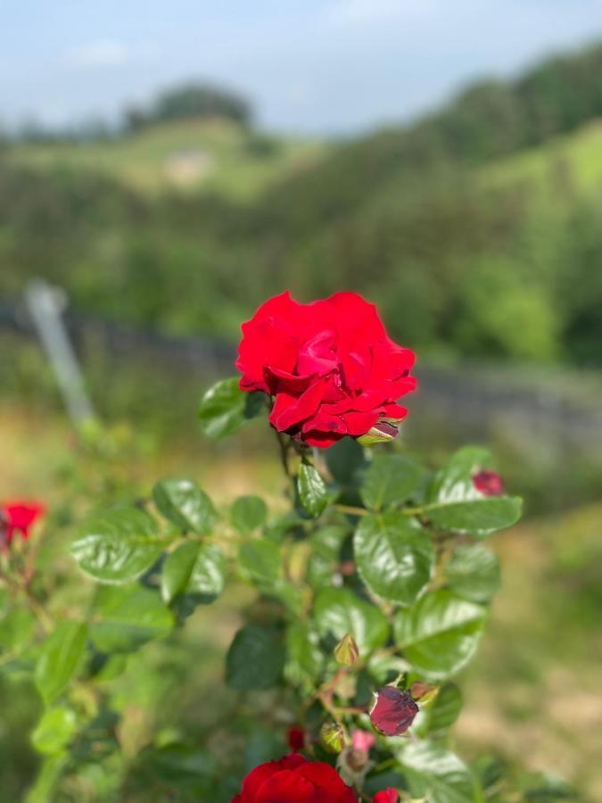 Trautenburg Stub'N Leutschach Eksteriør bilde